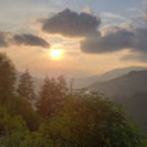 Meet your Posher, Jenny